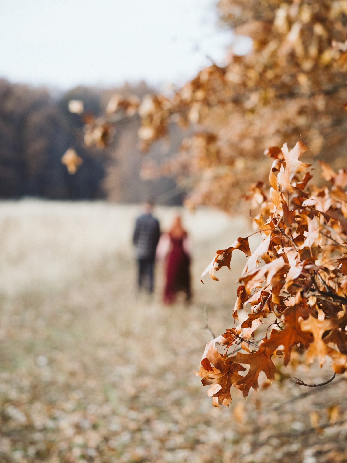 Oberlin Ohio Fall Engagement Photos