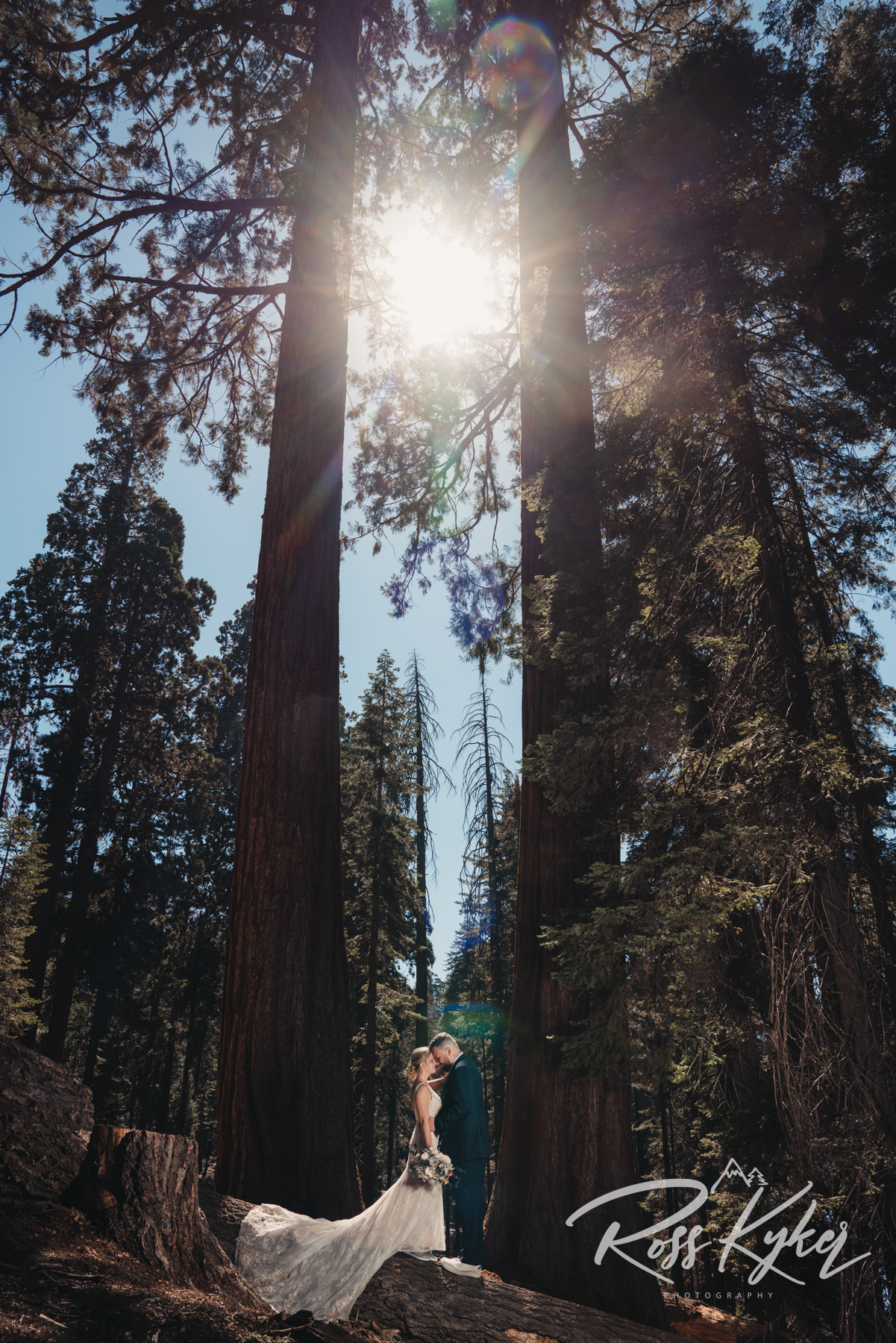 Sequoia National Park Elopement Photographer | Kings Canyon Elopement 